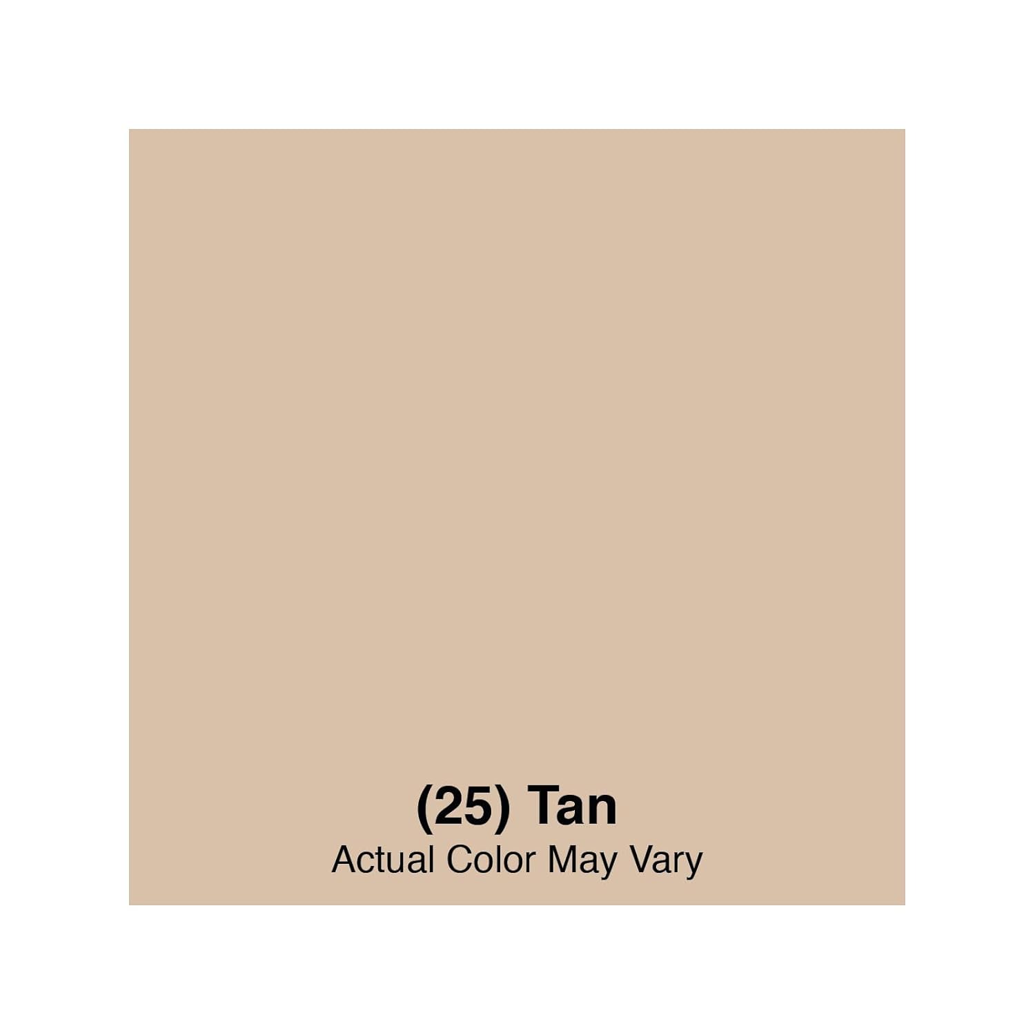 SPARTA 40501EC25 Plastic Large Scrub Brush, Kitchen Brush, Utility Brush With Long Handle For Cleaning, 20 Inches, Tan, (Pack of 6)