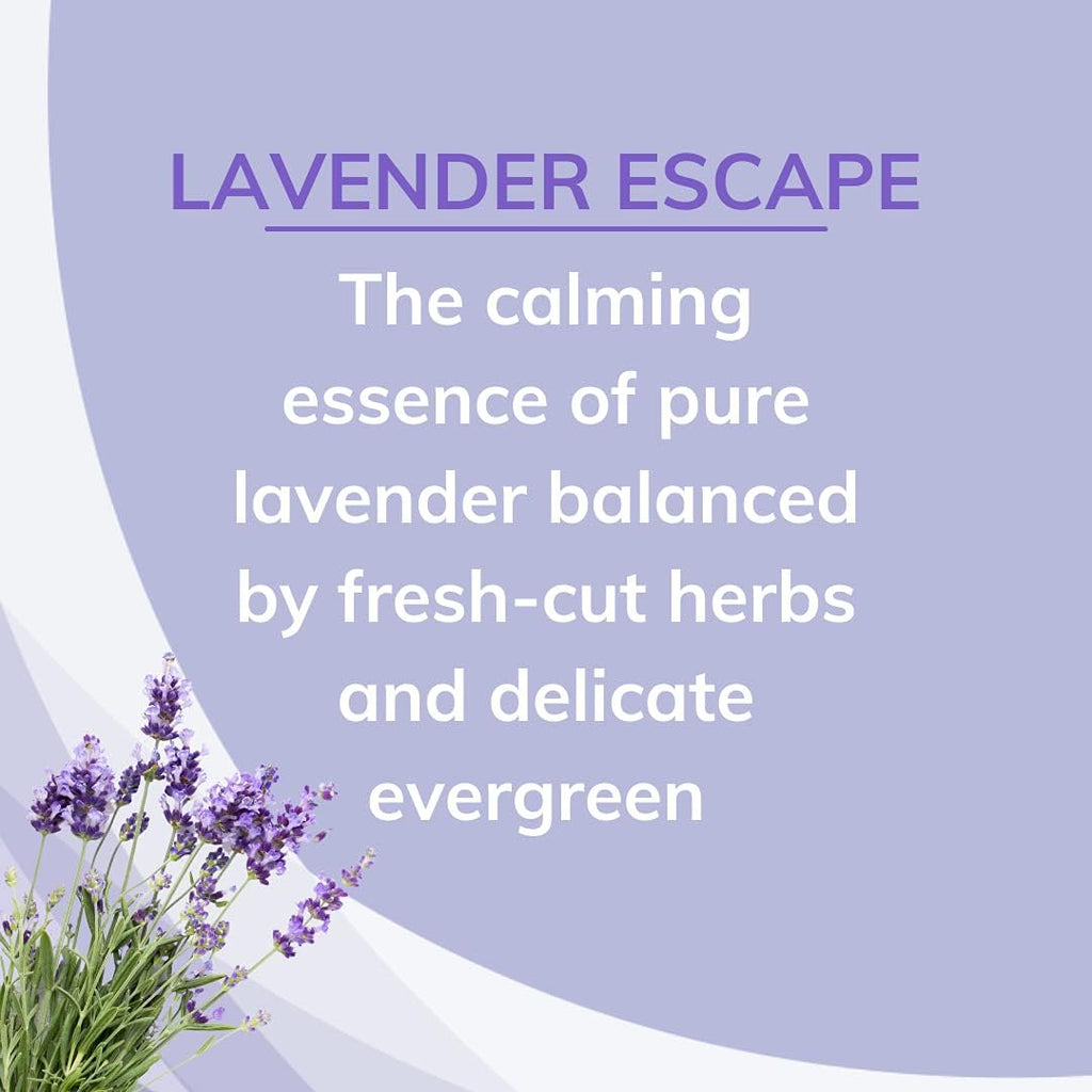 Citrus Magic Odor Absorbing Solid Air Freshener, Lavender Escape, 8 Ounce (Pack of 3)