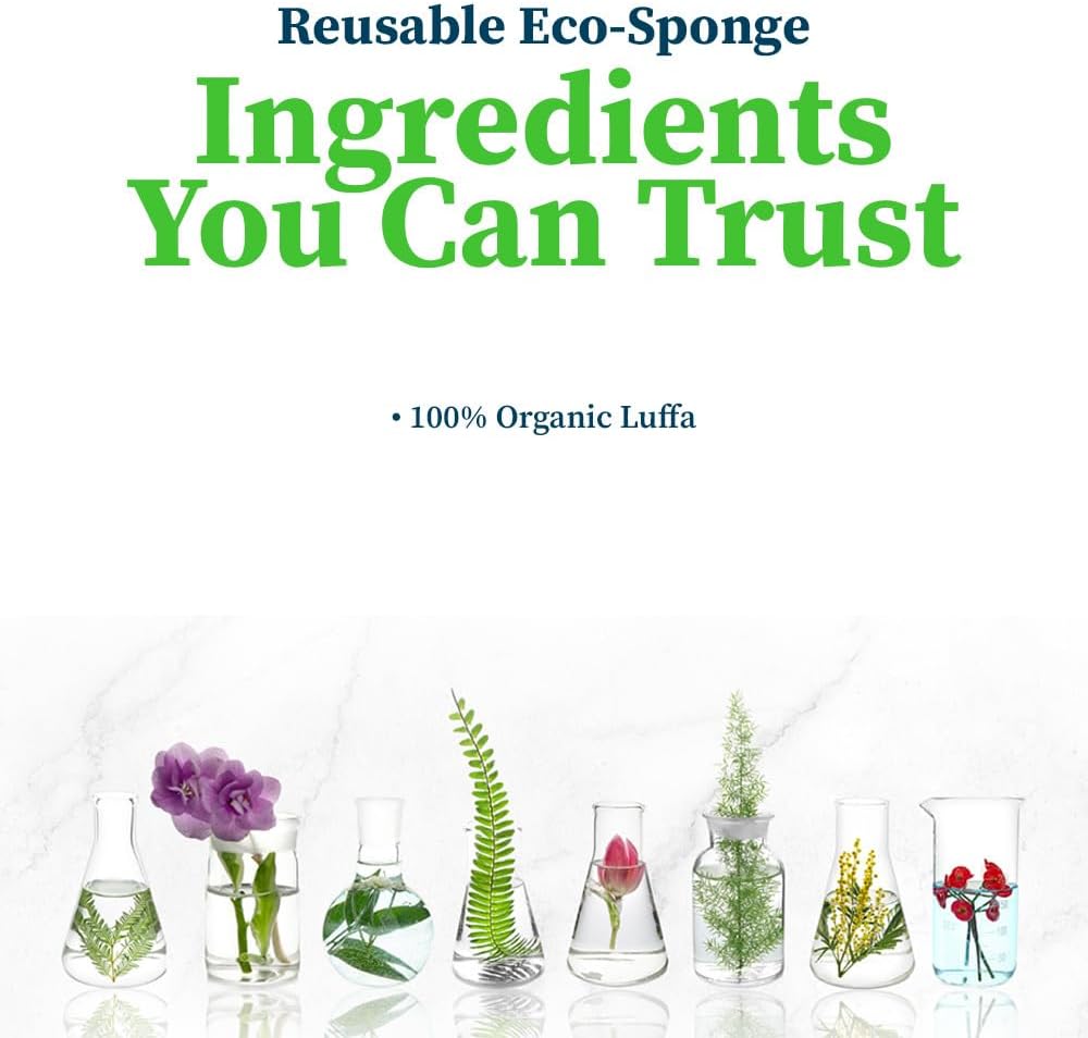 Truly Free Natural Cleaning Sponges, 100% Organic Luffa Dish Scrubber, Plant-Based Compostable Kitchen Dishwasher Sponge, Cleans Sink, Grout & Tile, Non Scratch Scouring Pad - 4.4 x 2.8 in, Pack of 3