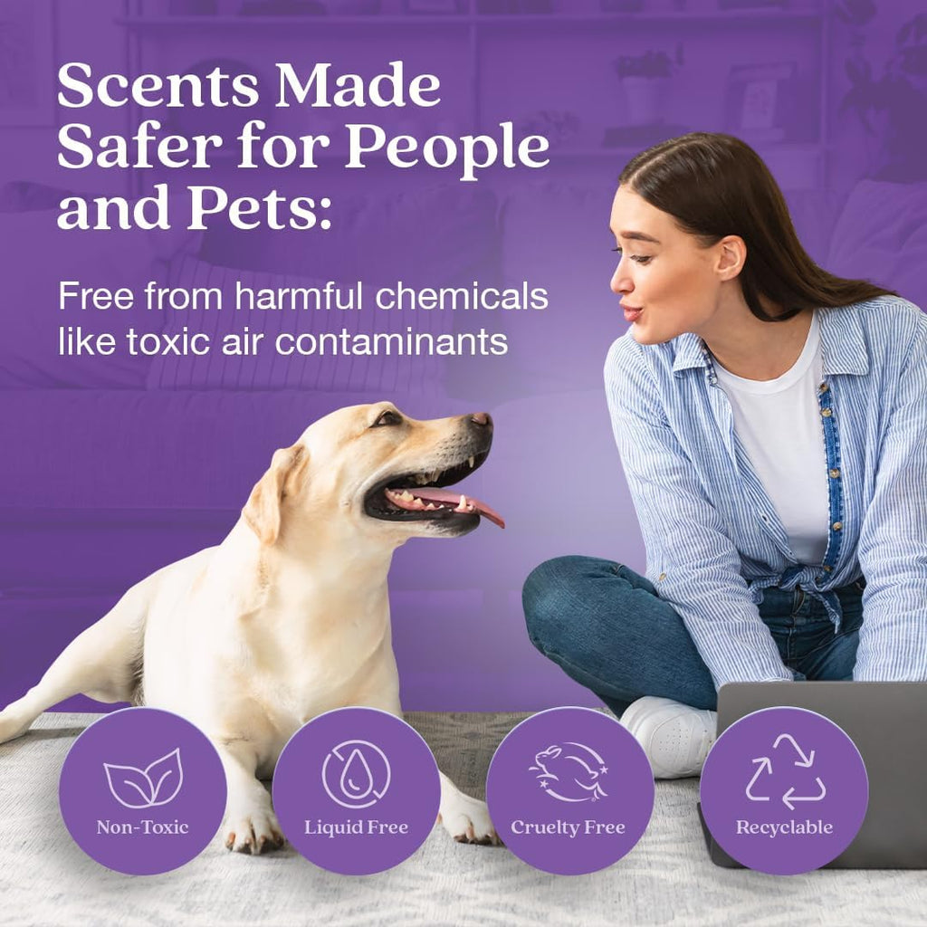 Enviroscent Non-Toxic Air Freshener for Home | Liquid Free Diffuser | Home Fragrance Lasts Over 30 Days | Kit includes 1 Mango Wood Stand & 1 Scent Stix Refill (Lavender Tea & Honey)