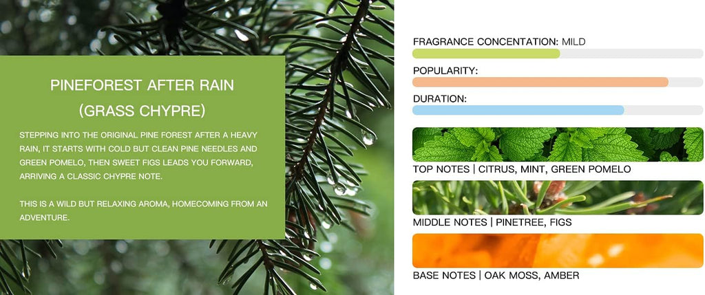 Tesla Model 3 [Not Compatible with Model 3 2024 (Highland)] /Y Air Freshener Invisible Slim Design Four Scents Selection (Pineforest After Rain Set)