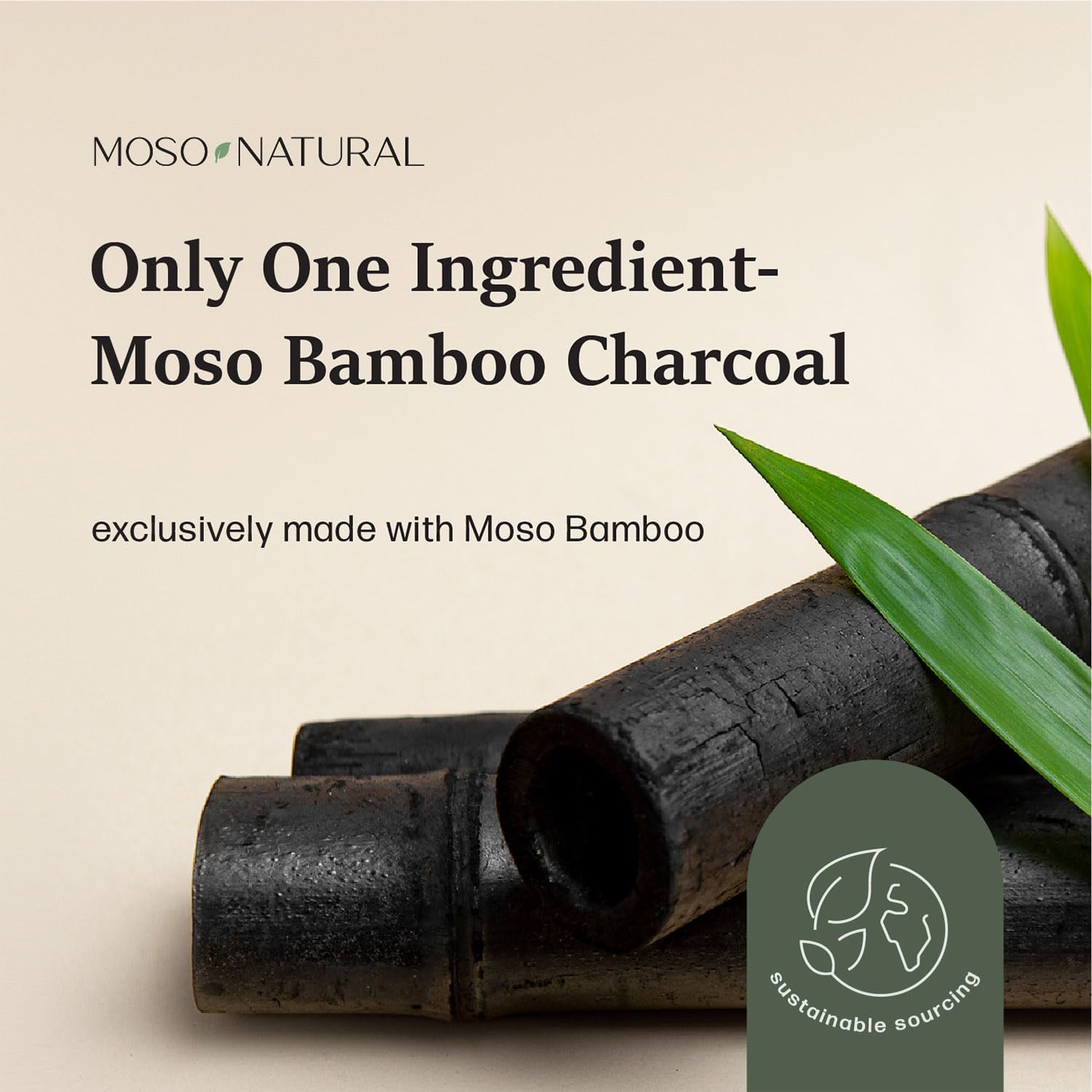 Moso Natural Air Purifying Bag 200g (2 Pack) Bamboo Charcoal Odor Absorber for Home & Car | Closet Odor Eliminator, Small Room Deodorizer & Car Air Freshener | Long Lasting Charcoal Bags Cover 90sqft