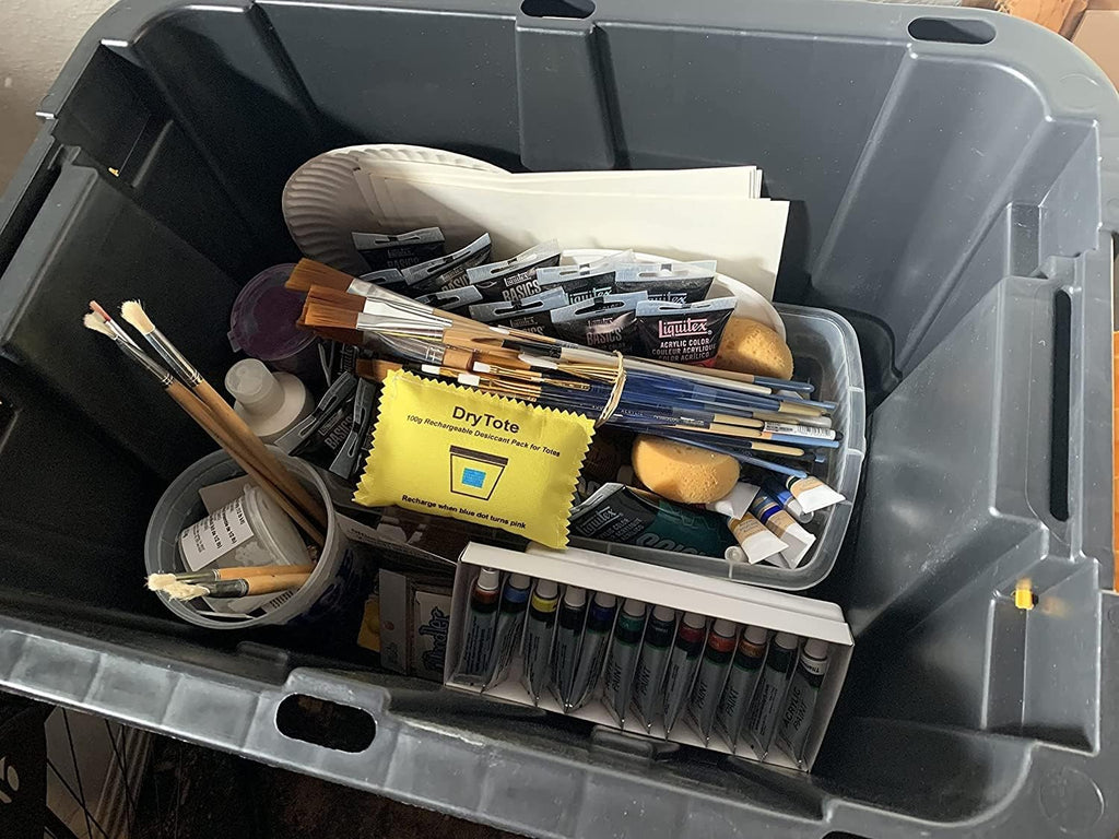 100g Rechargeable Desiccant Pack of 10 - Moisture Absorbing Bag - Silica Gel Desiccant Dehumidifier for Storage Bins and Totes