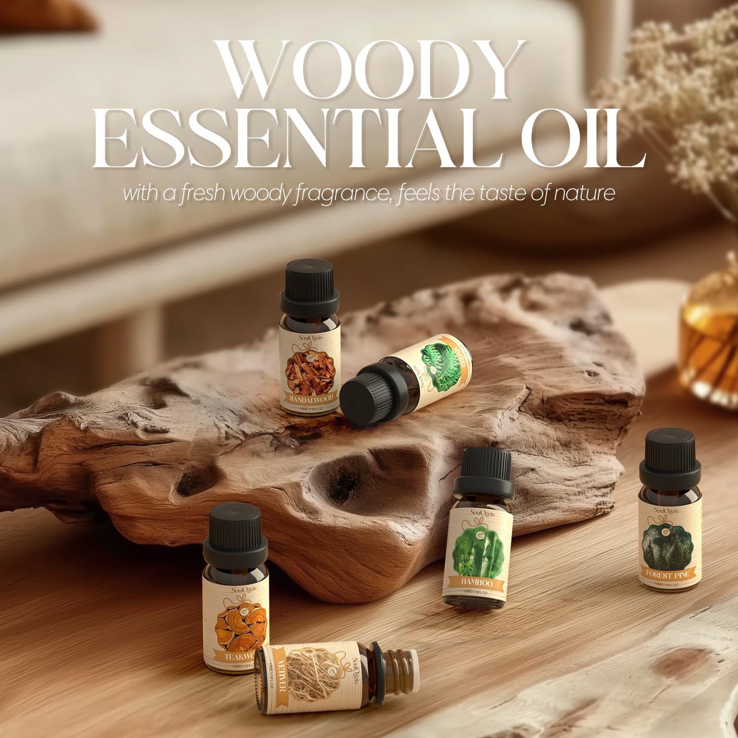 Woody Essential Oils Set, Fragrance Oil Set for Diffuser, Scent Diffuser Oil for Candle Making- Sandalwood, Cedar, Bamboo, Teak, Vetiver, Forest Pine