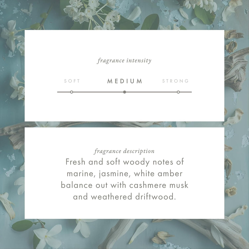 ScentAir Whisper Home Monthly Plug-in Refill, Fragrance Cartridge for Home and Office, Seaside Driftwood