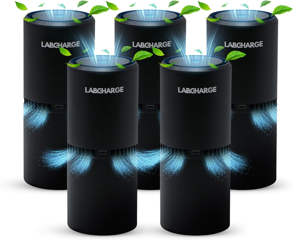 LabCharge Small Ionic Air Purifier for Home & Bedroom – Silent HEPA Filter – Covers 250 Sq Ft - Free Cleaner for Pets, Hair, Smoke, Dust, Odors & Dander – Compact & Black Design - Pack of 5