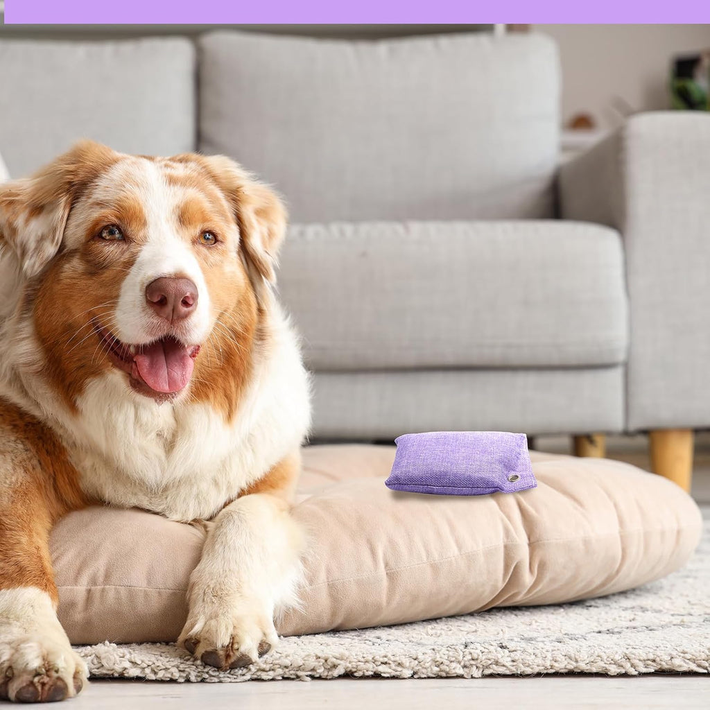 Nuanchu 24 Pcs Activated Charcoal Odor Absorber 50g/100g/200g, Air Purifying Bamboo Charcoal Bags, Natural Shoe Odor Absorber, Deodorizer Absorbers for Fresh Car Home Closet Pet Basement Smell(Purple)