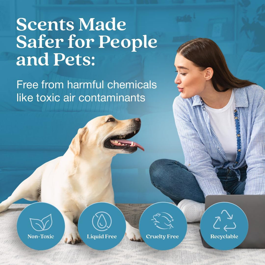 Enviroscent Non-Toxic Air Freshener for Home Essential Oil Diffuser | Fragrance Lasts Over 30 Days | Kit includes 1 Mango Wood Stand & 1 Scent Stix Refill (Rainwater & Bamboo)