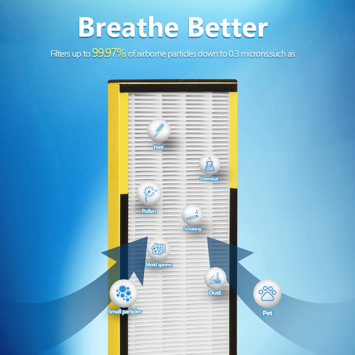 6 Packs FLT4825 H13 True HEPA Replacement Filter B Compatible with AC4300BPTCA, CDAP4500BCA, AC4825, AC4850PT, AC4820, AP2200CA Air Cleaner Purifier