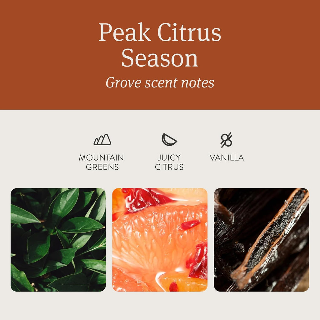 Drift Car Air Freshener - The Original Wood Air Freshener - Car Odor Eliminator - Long Lasting Scent - Auto Accessories - Metal Clip - Essential Oils - Clean Ingredients - Grove Scent Starter Kit