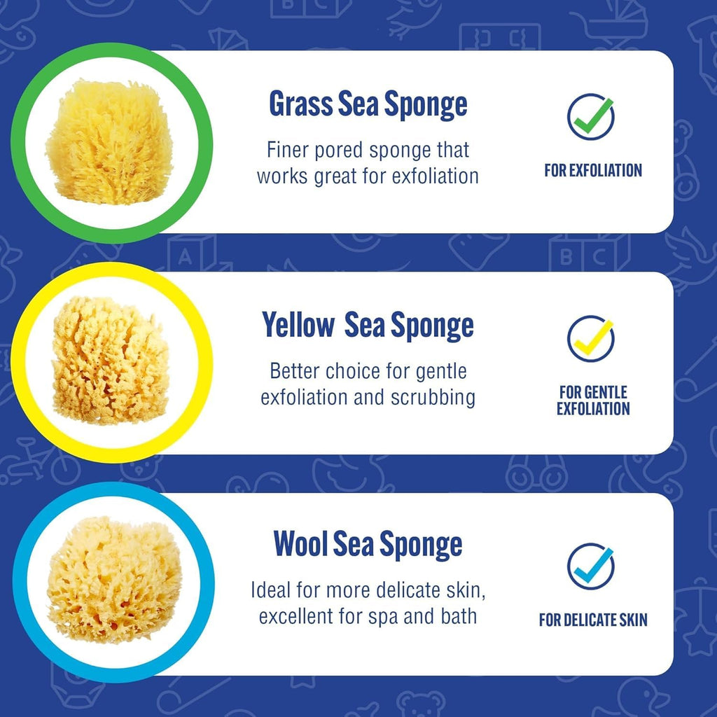 Baby Buddy Baby Bath 4in Assorted Sea Sponges, Absorbent Natural Sea Sponge, Soft on Tender Skin, Biodegradable, Hypoallergenic, Bath Accessories for Bathing, 3 Pack