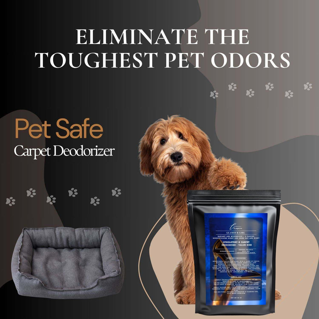 Glamour Girl Carpet Freshener Powder Value Size 36 oz | Powerful Odor Eliminator for Home | Upholstery Deodorizer | Carpet Deodorizer | Cat Litter Box | Good Girl Fragrance