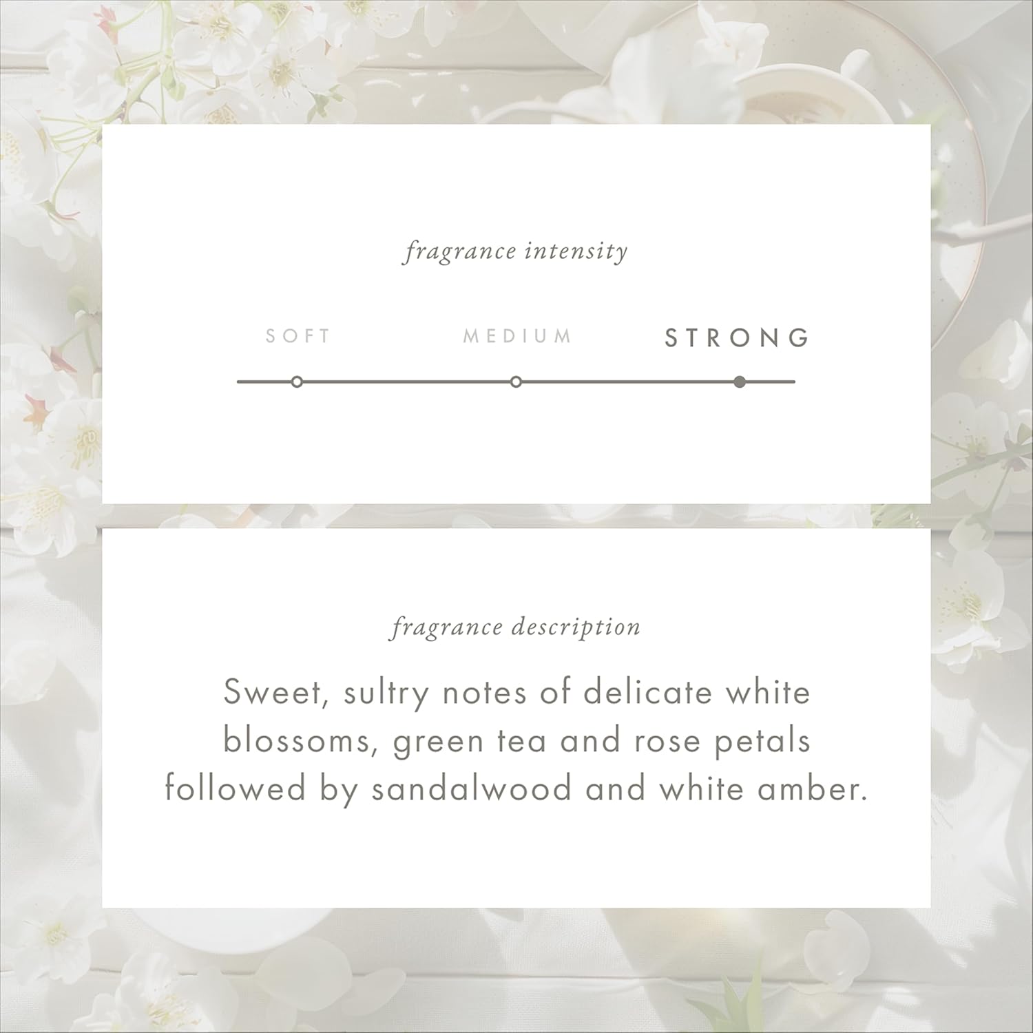 ScentAir Whisper Home Monthly Plug-in Refill, Fragrance Cartridge for Home and Office, White Blossom Tea