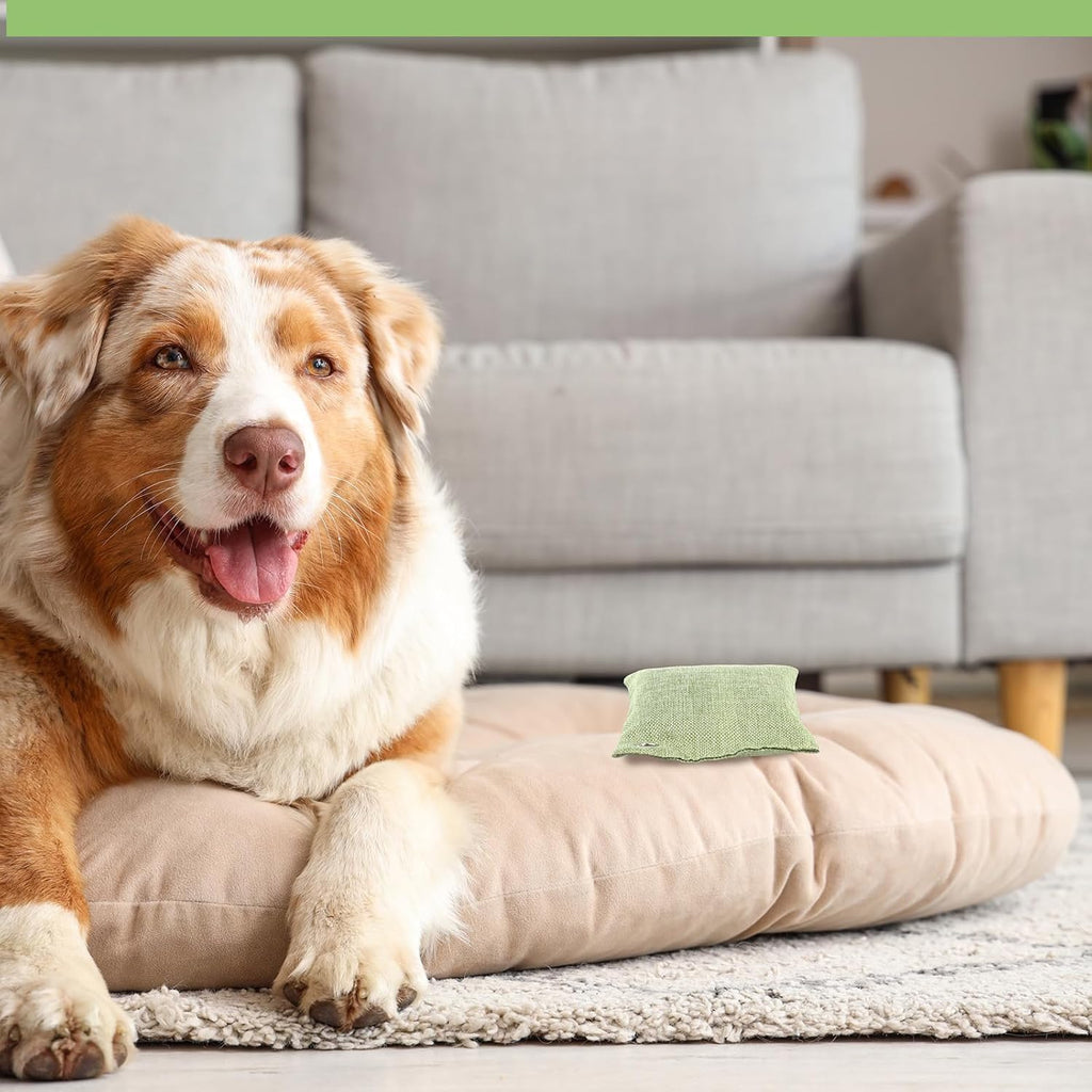 Nuanchu 24 Pcs Activated Charcoal Odor Absorber 50g/100g/200g, Air Purifying Bamboo Charcoal Bags, Natural Shoe Odor Absorber, Deodorizer Absorbers for Fresh Car Home Closet Pet Basement Smell(Green)