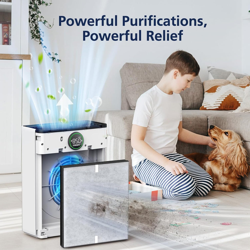 PR1 Replacement Filter for Mooka PR1 Air Purifier for Home Large Room up to 2200sq.ft, HEPA Activated Carbon, with 4Pcs Washable Filter for Pets, 2 Packs
