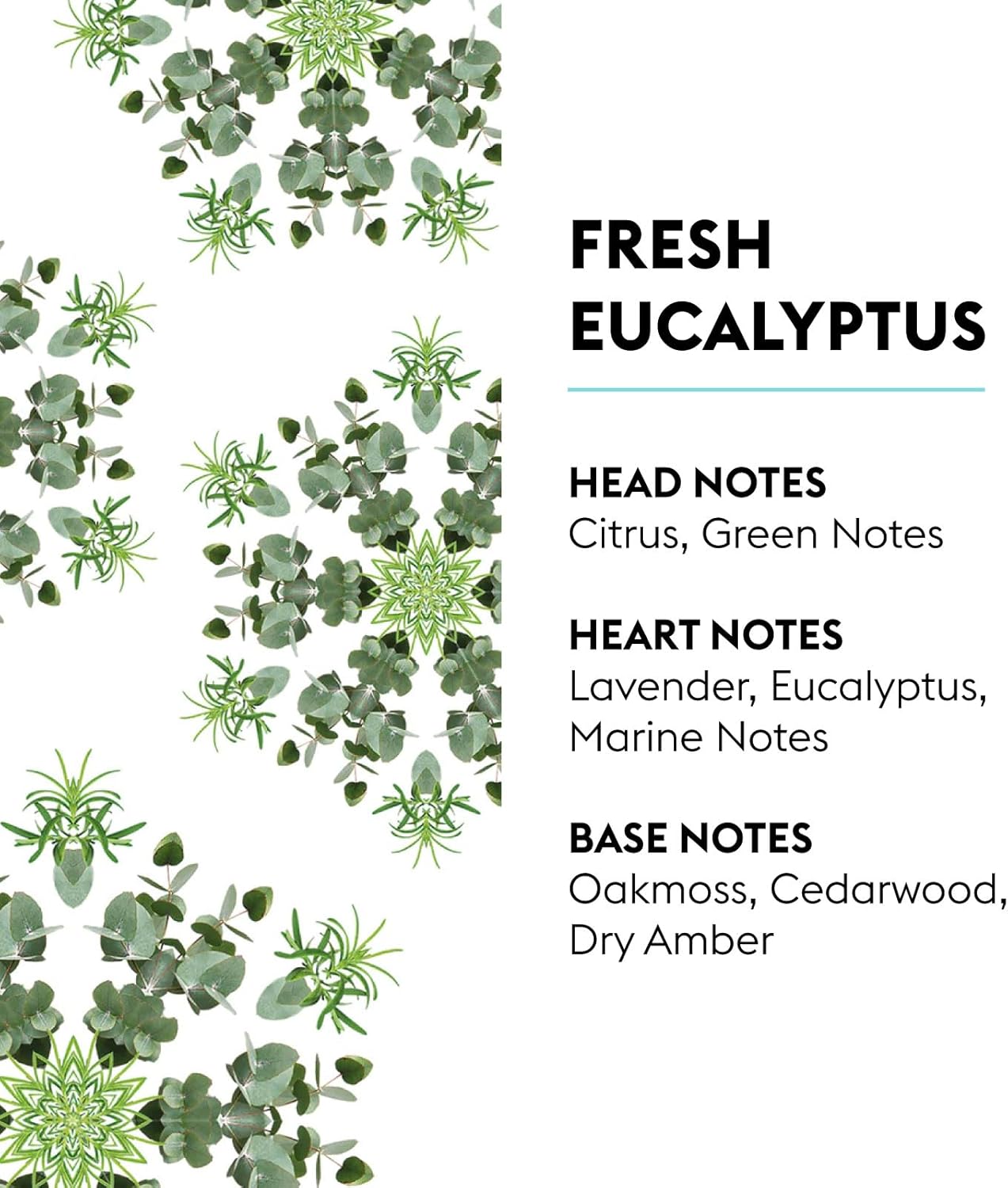 MAISON BERGER - New Fresh Eucalyptus - Lampe Berger Fragrance Refill for Home Fragrance Oil Diffuser - Air Freshener - 33.8 Fluid Ounces - 1 Liter