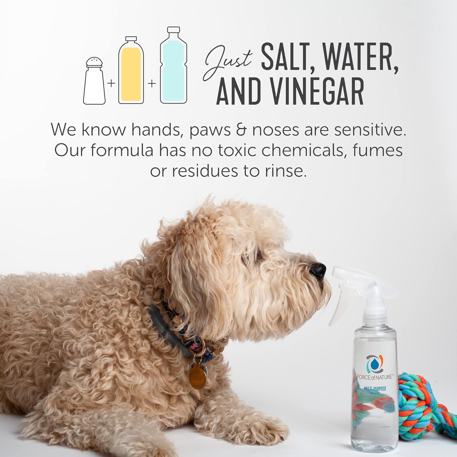 Force of Nature Multi-Purpose Cleaner, Disinfectant & Deodorizer Starter Kit - All Purpose Cleaning Spray with Reusable Bottle, 5 Refills - EPA Registered, Toxin-Free Cleaning Supplies