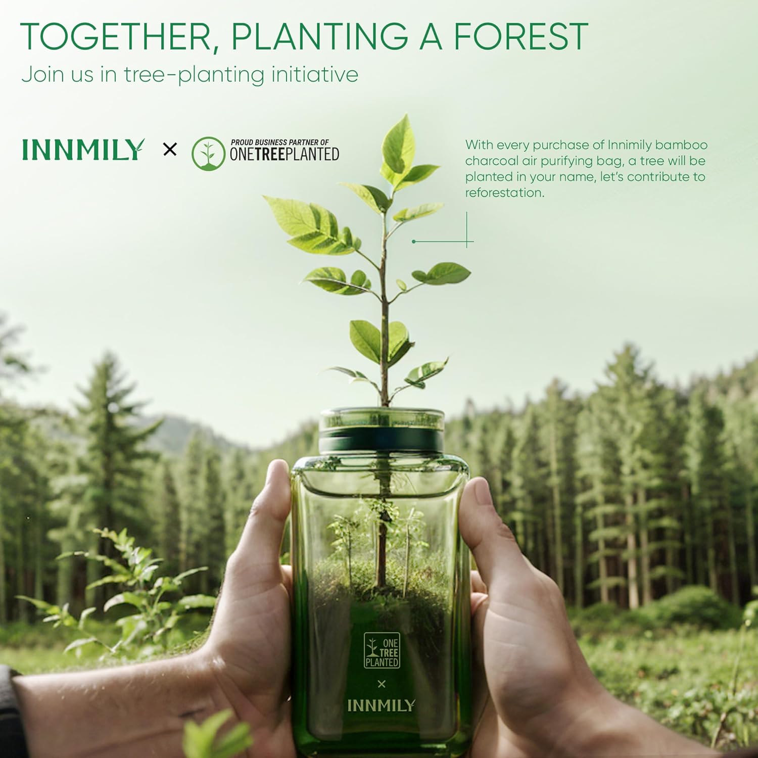 Activated Charcoal Odor Absorber,Large 12 Pack w Hooks Nature Odor Eliminator for Strong Odor, Bamboo Charcoal Air Purifying Bags,Moisture Absorbers for Fresh Home Car Closet Pet,Smoke Room Deodorizer