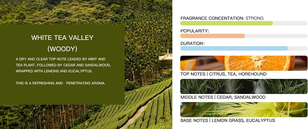 Tesla Model 3 [Not Compatible with Model 3 2024 (Highland)] /Y Air Freshener Invisible Slim Design Four Scents Selection (White Tea Valley Set)