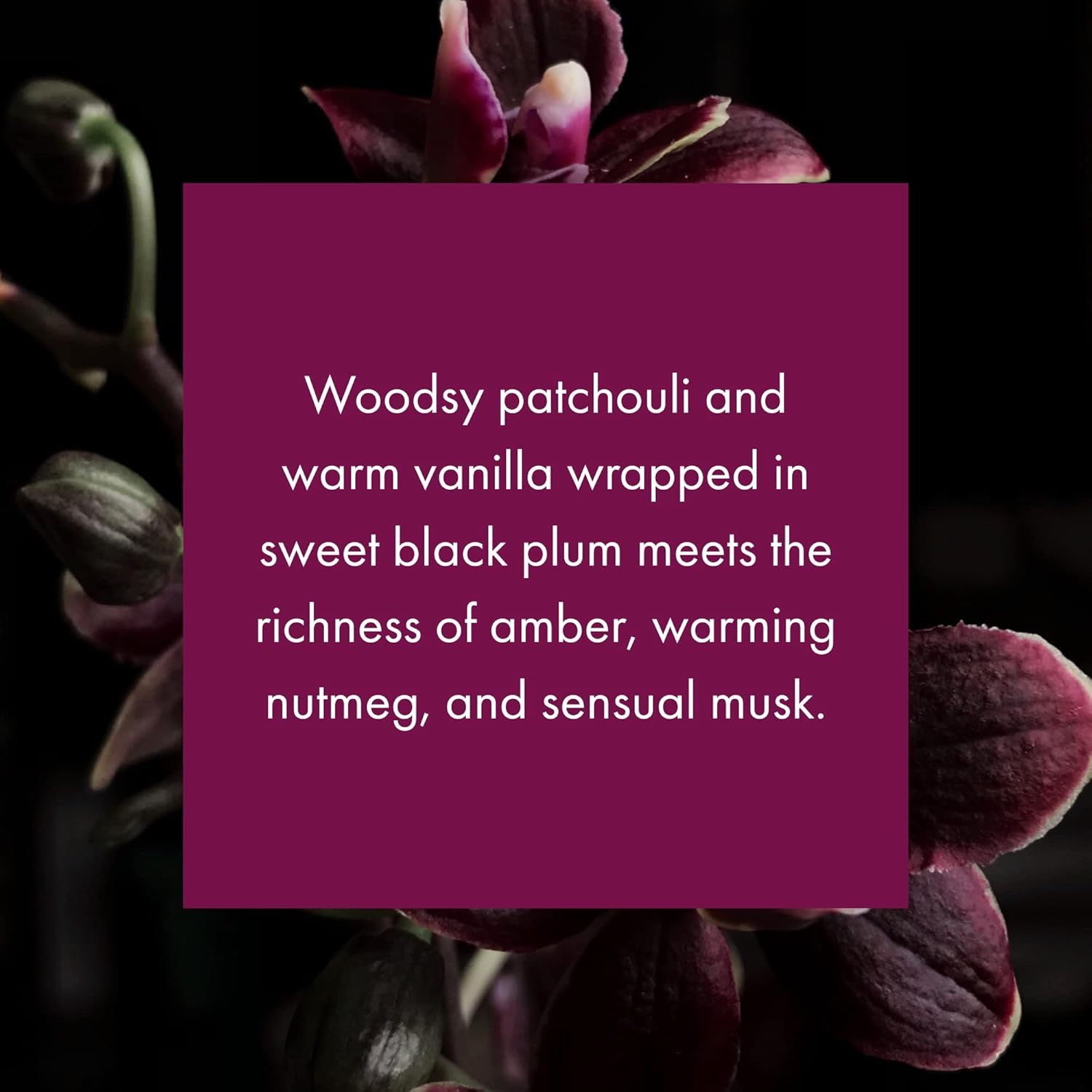 ScentAir Whisper Home Monthly Plug-in Refill, Fragrance Cartridge for Home and Office, Black Orchid