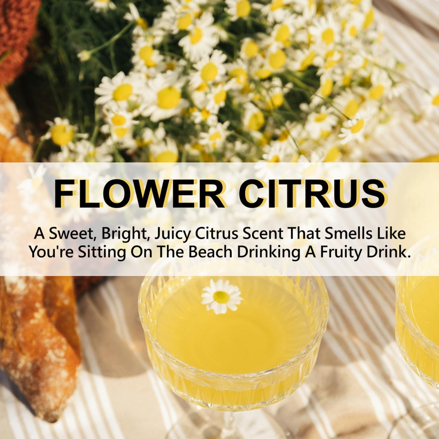 ROSE COTTAGE Large 12 Packs Flower Citrus Hanging Closet Air Freshener Scented Sachets Long Lasting Smell Goods