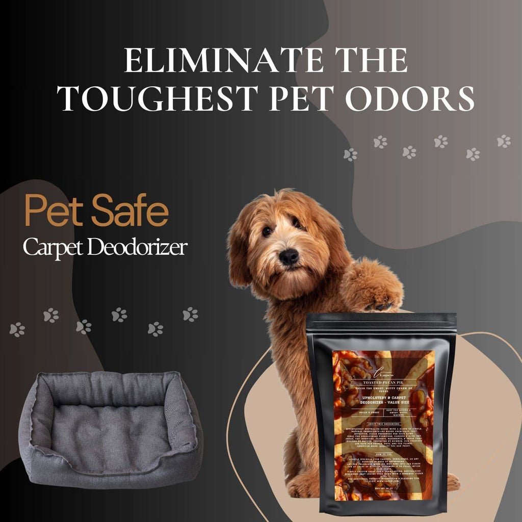 71 Carpet Freshener Powder Value Size 36 oz | Powerful Odor Eliminator for Home | Upholstery Deodorizer | Carpet Deodorizer | Cat Litter Box | Cheirosa 71 Fragrance