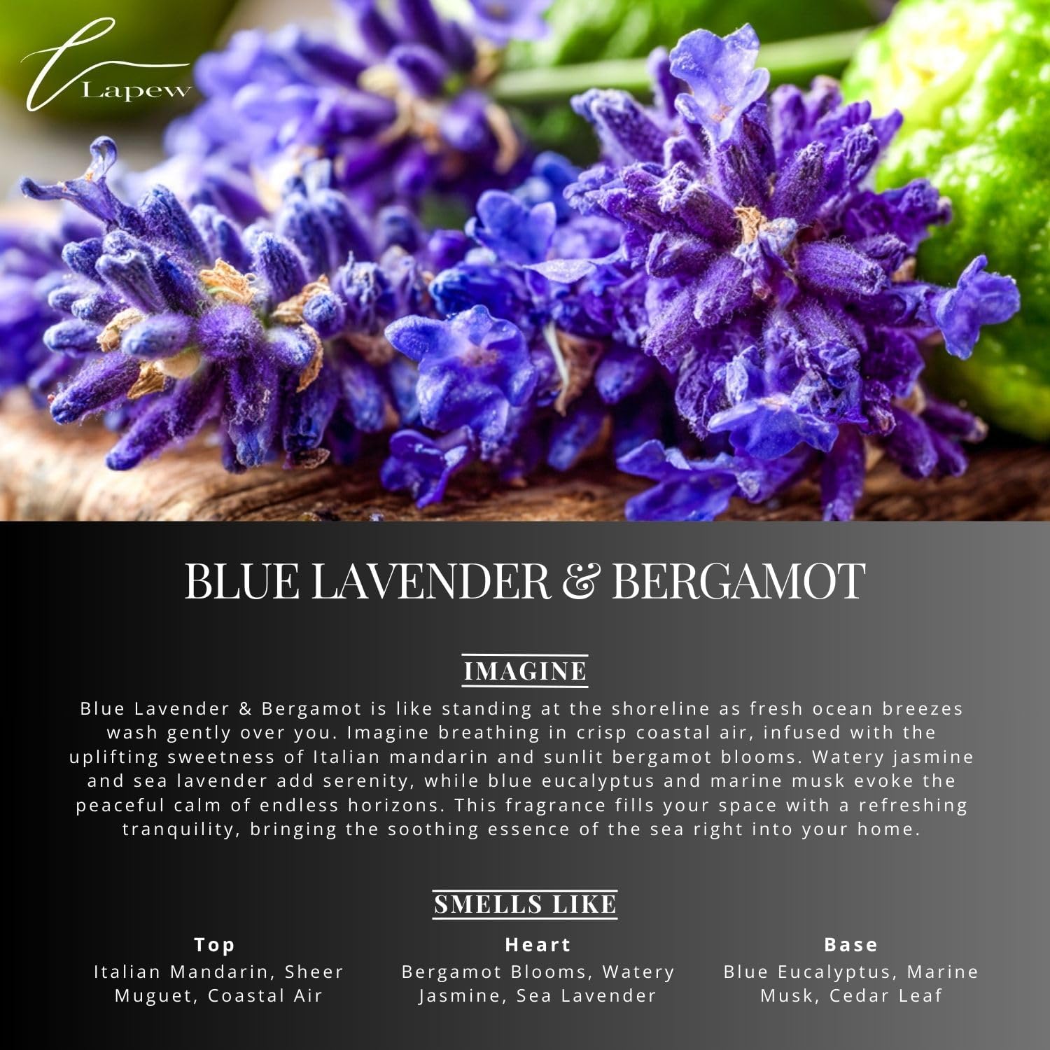 Blue Lavender & Bergamot Carpet Freshener Powder: Powerful Odor Eliminator for Home, Upholstery Deodorizer, Carpet Deodorizer, Pet Urine, Cat Litter Box - Blue Lavender & Bergamot