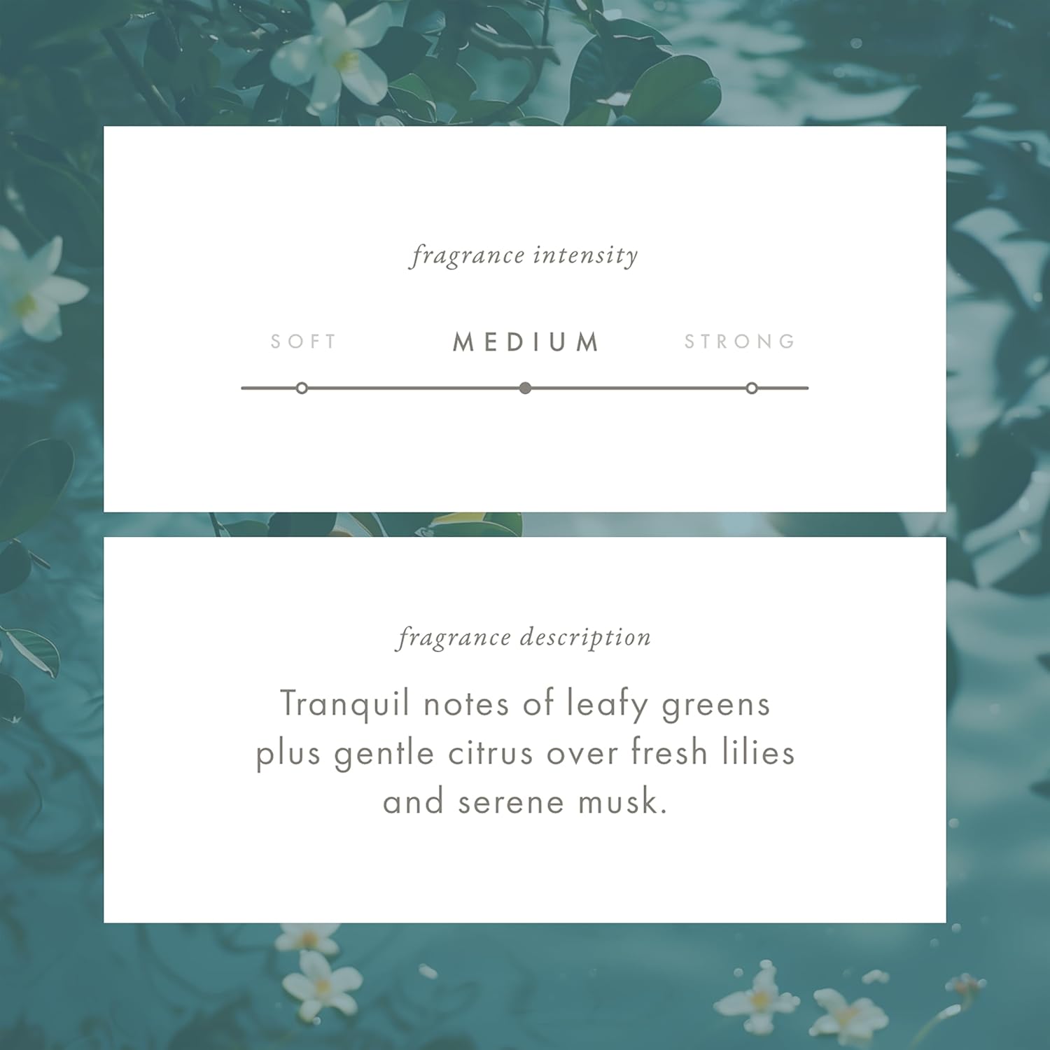 ScentAir Whisper Home Monthly Plug-in Refill, Fragrance Cartridge for Home and Office, Tranquil Waters