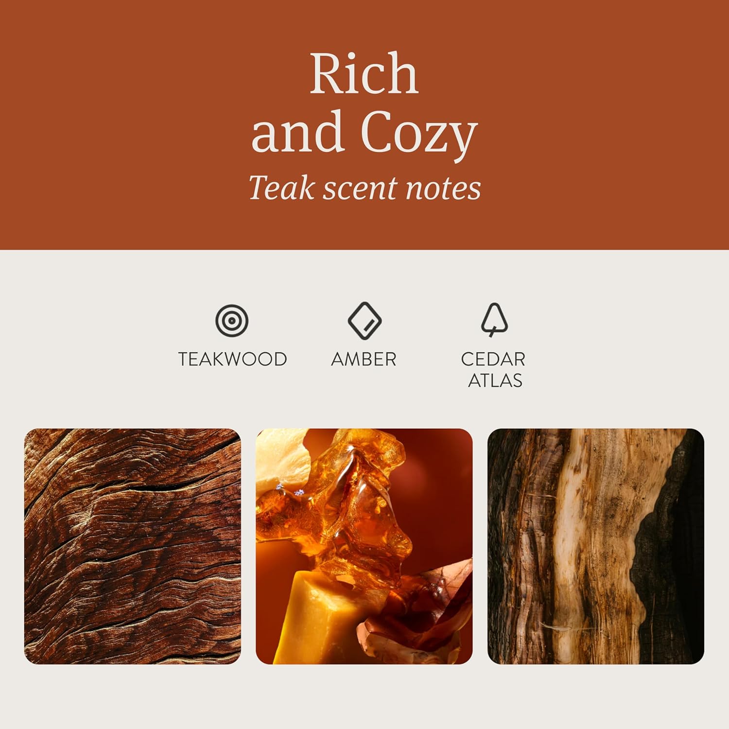 Drift Car Air Freshener - The Original Wood Air Freshener - Car Odor Eliminator - Long Lasting Scent - Auto Accessories - Metal Clip - Essential Oils - Clean Ingredients - Teak Scent Starter Kit