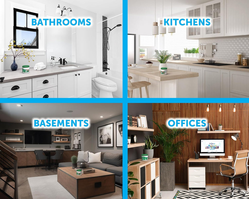 Bright Air 14 oz. Super Odor Eliminator, For Medium-Size Spaces, Winter Pine & Berries Scent, Case of 6, Odor Eliminator & Air Freshener, Natural Essential Oils, Lasts Up to 90 Days Each