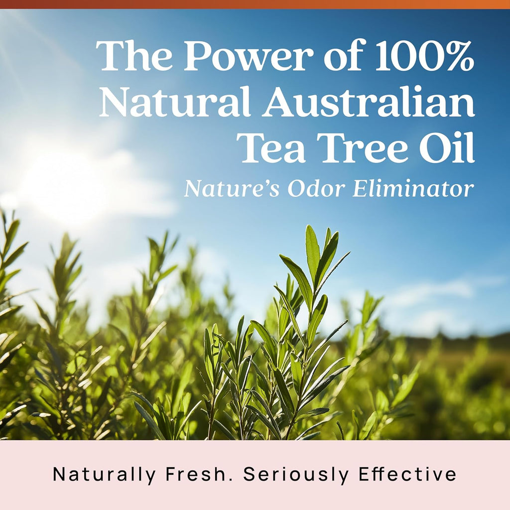 Azuna Air Freshener & Odor Eliminator for Strong Odor | 1 Room Kit Includes (1) Empty Luxe Glass Jar & 8oz Refill with Tea Tree Essential Oil Gel | Sandalwood | Last 60-90 Days