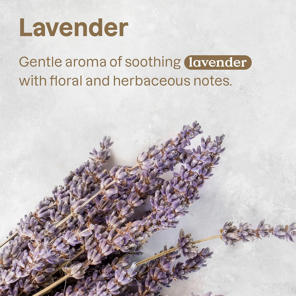 ATTITUDE All Surface Cleaner for Pets, Plant and Mineral-Based Ingredients, Vegan and Cruelty-free, Lavender, 16 Fl Oz