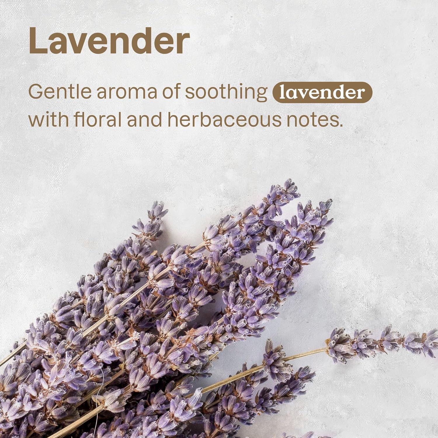 ATTITUDE All Surface Cleaner for Pets, Plant and Mineral-Based Ingredients, Vegan and Cruelty-free, Lavender, 16 Fl Oz