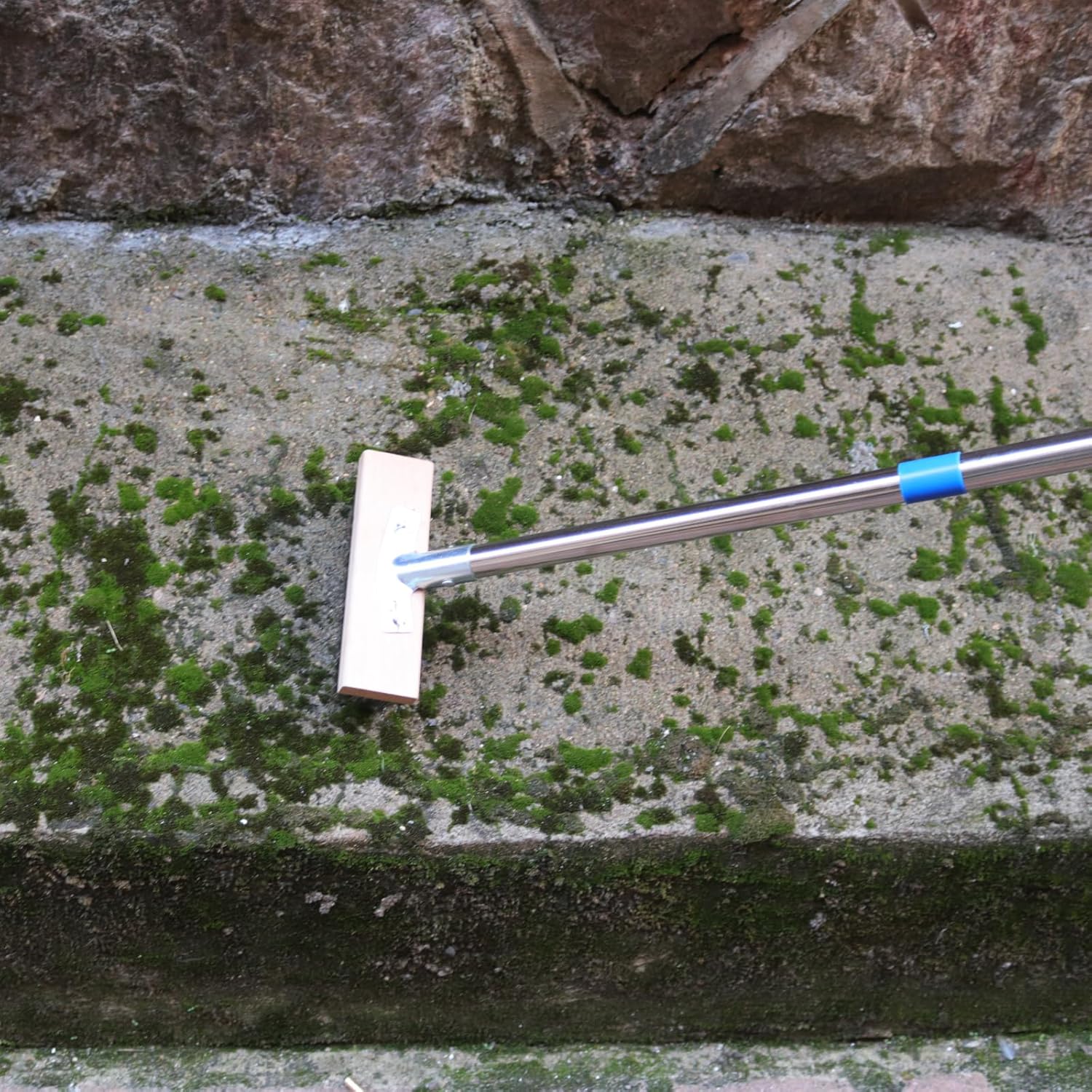 MAXMAN Stainless Steel Floor Scrubber Scrub Brush with Long Handle, Deck Brush, 63" Heavy Duty Outdoor Push Broom, Moss Remover, Wire Scratch Brush for Scrubbing Concrete, Patio, Garage, 2 Brush Head