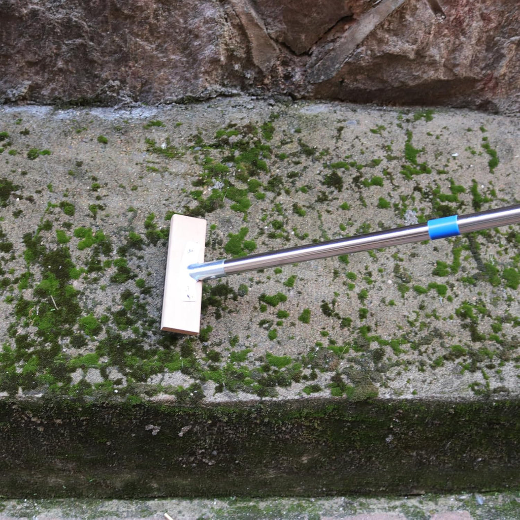 MAXMAN Floor Scrubber,Deck Brush,Stainless Steel Floor Scrub Brush with Long Handle, 63" Heavy Duty Outdoor Push Broom, Moss Remover, Scratch Brush for Scrubbing Concrete, Patio, Garden, Garage