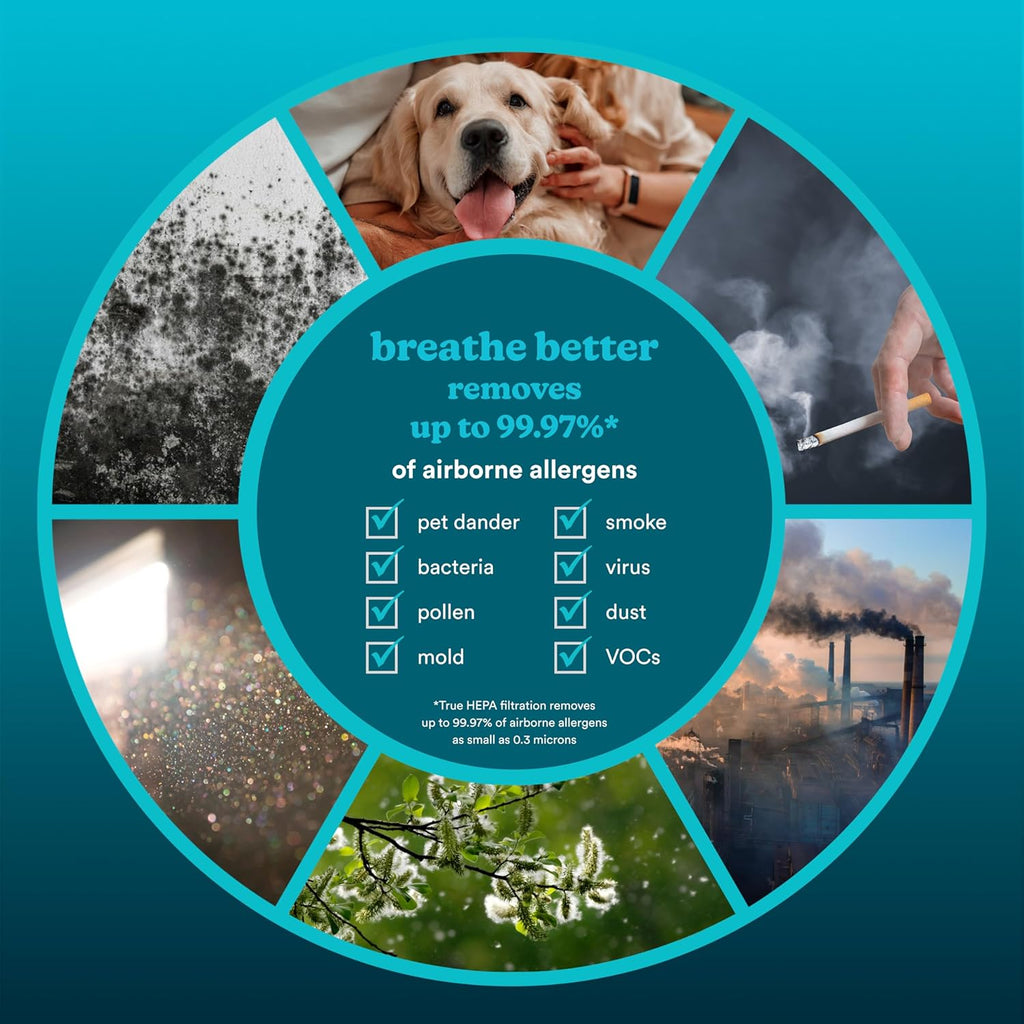 Homedics Smart Air Purifier 4-in-1 Tower for Large Rooms, Up To 1570 sq ft, True HEPA Filtration, UV-C Technology, Activated Carbon Odor Filter, Reduces Bacteria, Virus, VOCs, Wi-Fi and Voice Control