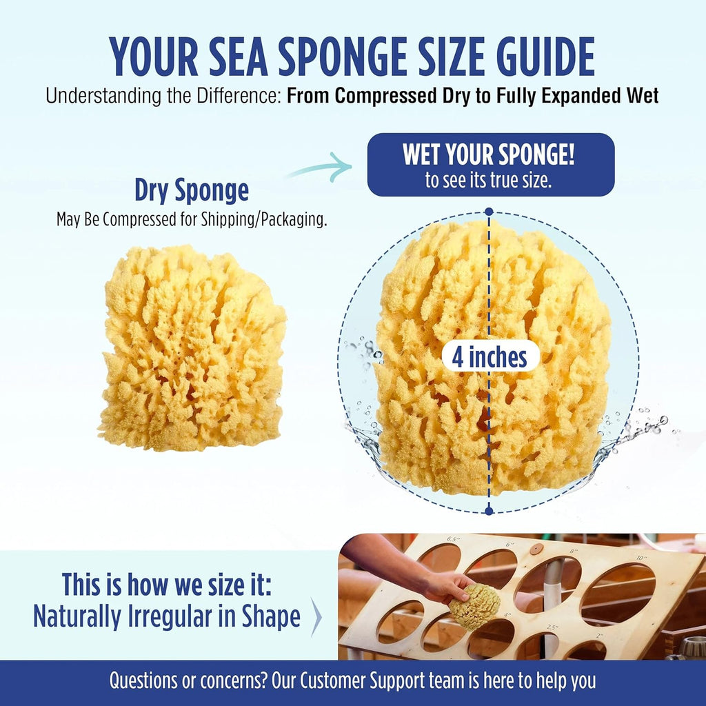 Baby Buddy Baby Bath 4in Assorted Sea Sponges, Absorbent Natural Sea Sponge, Soft on Tender Skin, Biodegradable, Hypoallergenic, Bath Accessories for Bathing, 3 Pack