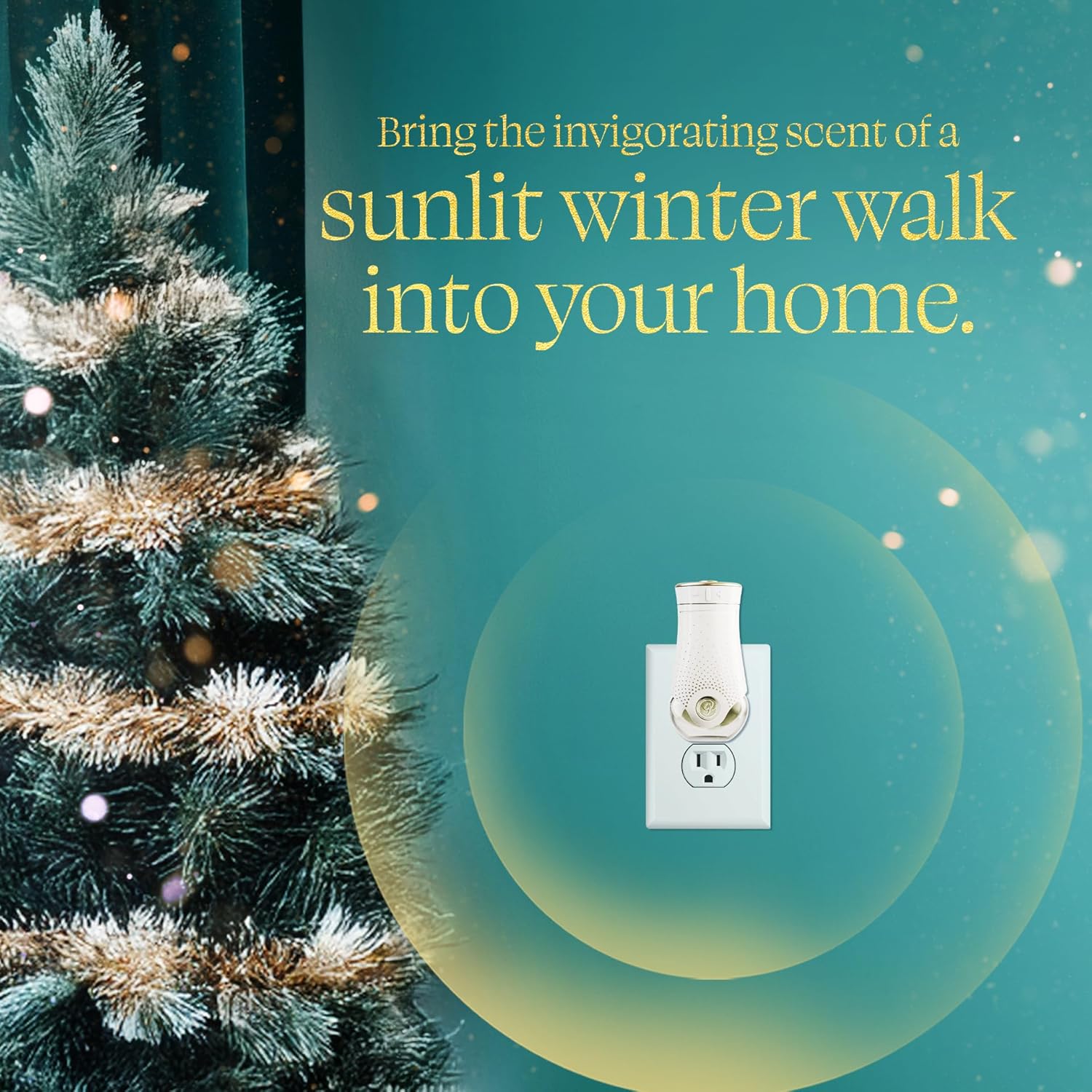 Glade PlugIns Refills Air Freshener, Bergamot & Eucalyptus, Scented and Essential Oils for Home and Bathroom, 0.67 Fl Oz, 5 Count