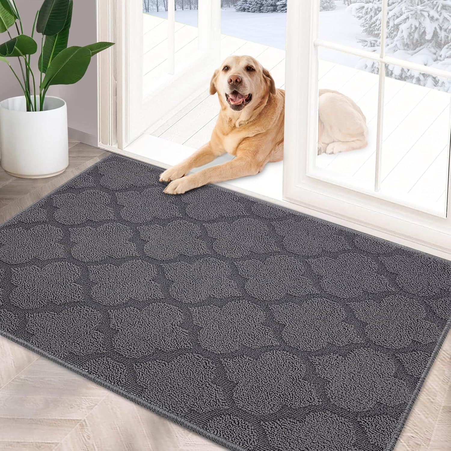FONEYI Indoor Door Mat, Entrance Rug 24" x 36" Non-Slip Rubber Backing, Machine Washable Entry Rug, Low Profile Absorbent Dirt Trapper Doormat Inside Floor Mats for Entryway, Grey