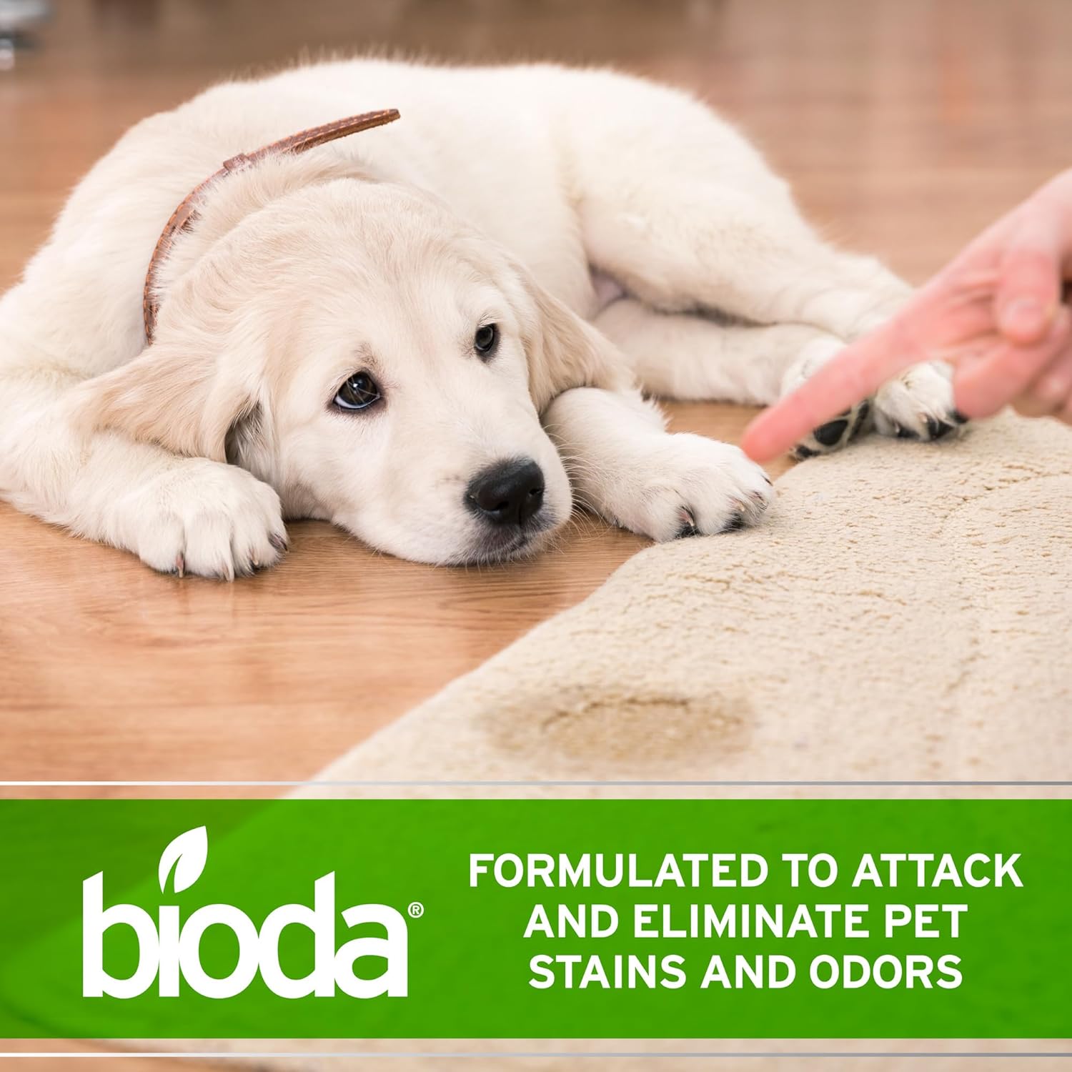 Bioda Multi-Purpose Probiotic Enzyme Cleaner and Deodorizer | Professional Strength | Trash Can Deodorizer, Pet Stains and Odors, Drains, Floors, Bathrooms, Toilets | Made in USA | 1 Gallon