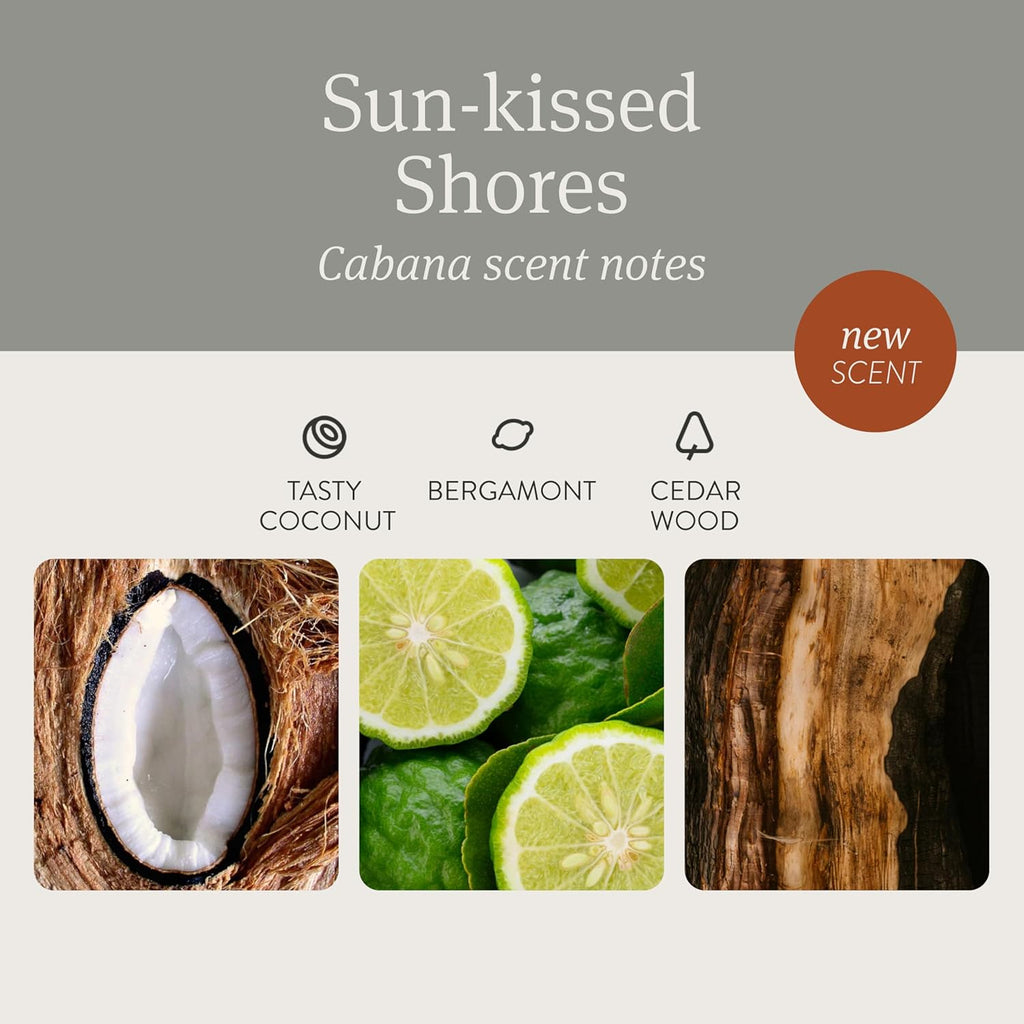 Drift Car Air Freshener - Stone Air Freshener Car Odor Eliminator - Long Lasting Scent - Auto Accessories - Metal Clip - Essential Oils - Clean Ingredients - Cabana Scent Starter Kit