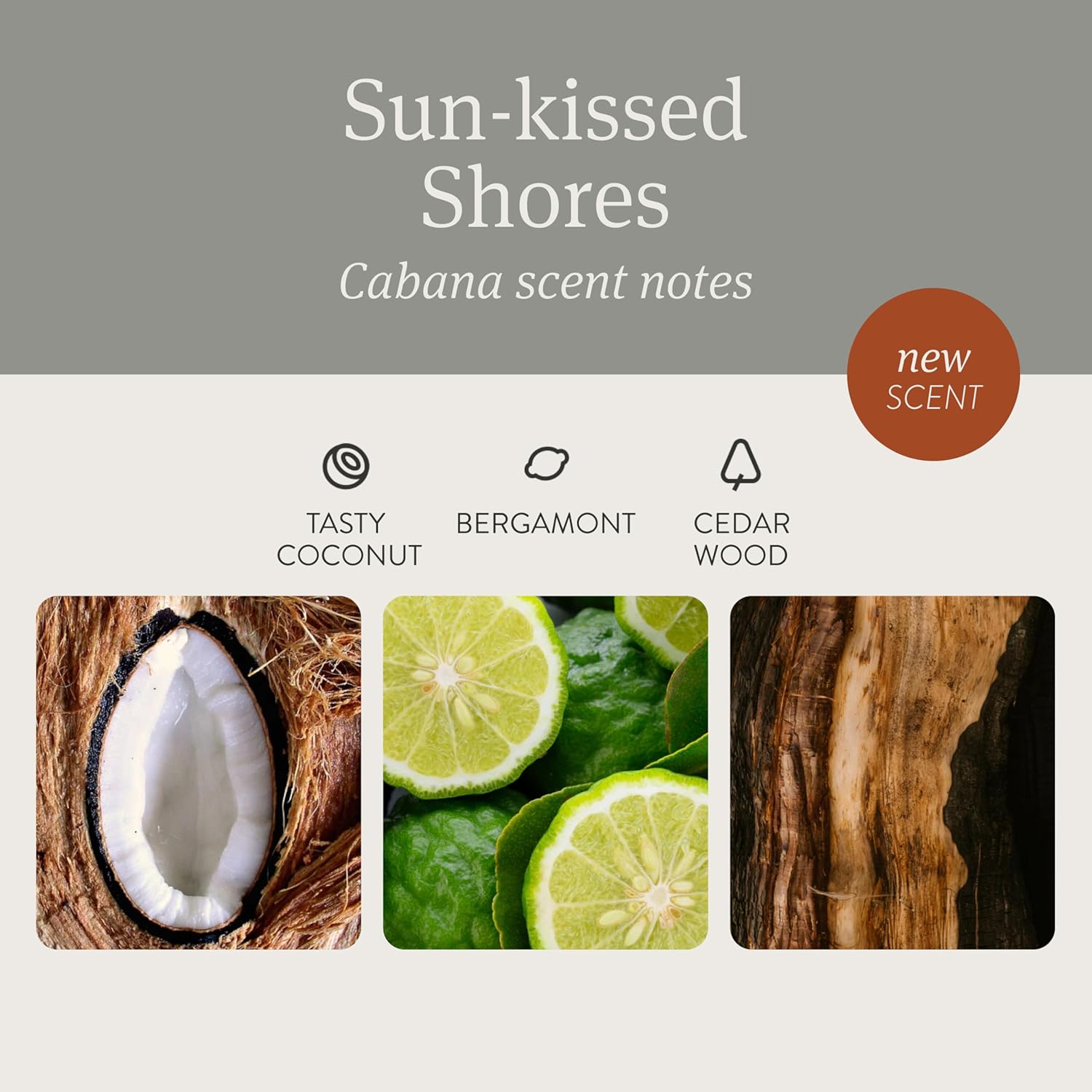 Drift Car Air Freshener - The Original Stone Air Freshener - Car Odor Eliminator - Long Lasting Scent - Metal Clip - Essential Oils - Clean Ingredients - Cabana Scent 3 Pack Refill - NO CLIP INCLUDED