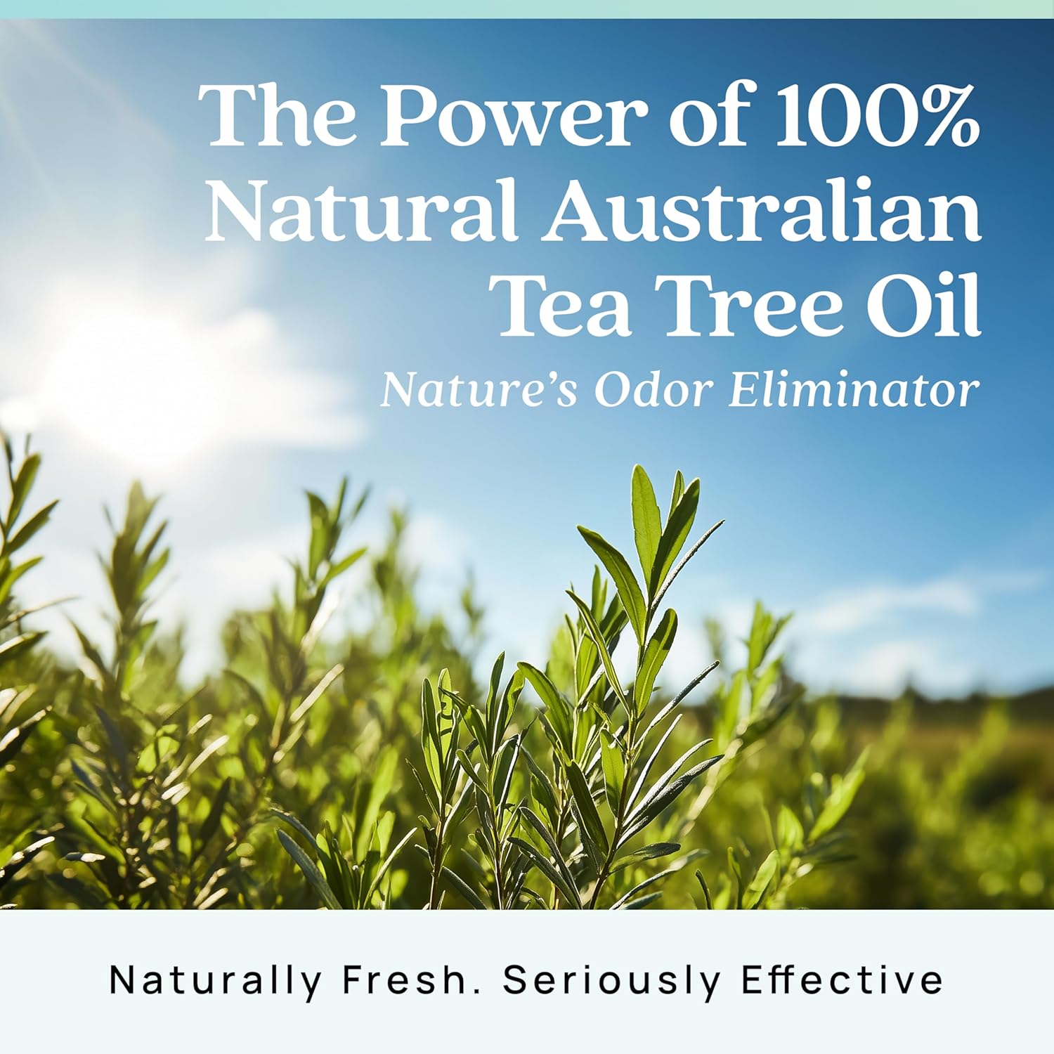 Azuna Air Freshener & Odor Eliminator for Strong Odor | 1 Room Kit Includes (1) Empty Luxe Glass Jar & 8oz Refill with Tea Tree Essential Oil Gel | Amalfi Breeze | Last 60-90 Days