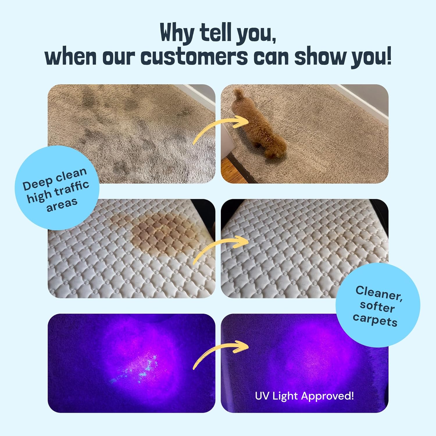 Sunny & Honey Carpet Cleaner Solution - 128 Fl Oz, Fresh Summer Scent - Deep Stain Remover & Deodorizer - Pet & Rug Cleaner - Upholstery Cleaning for Machine Use