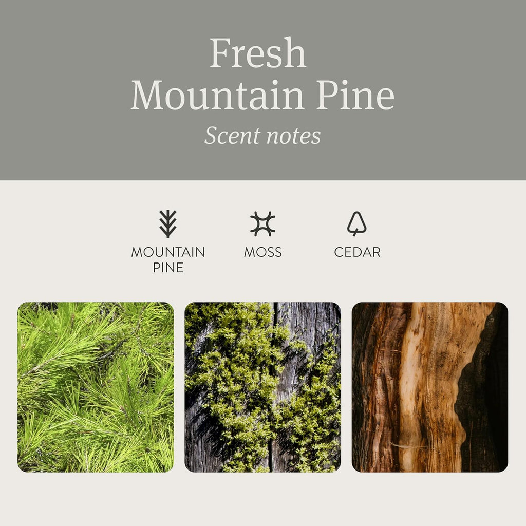 Drift Car Air Freshener - Stone Air Freshener Starter Set - Car Odor Eliminator - Pine Scent