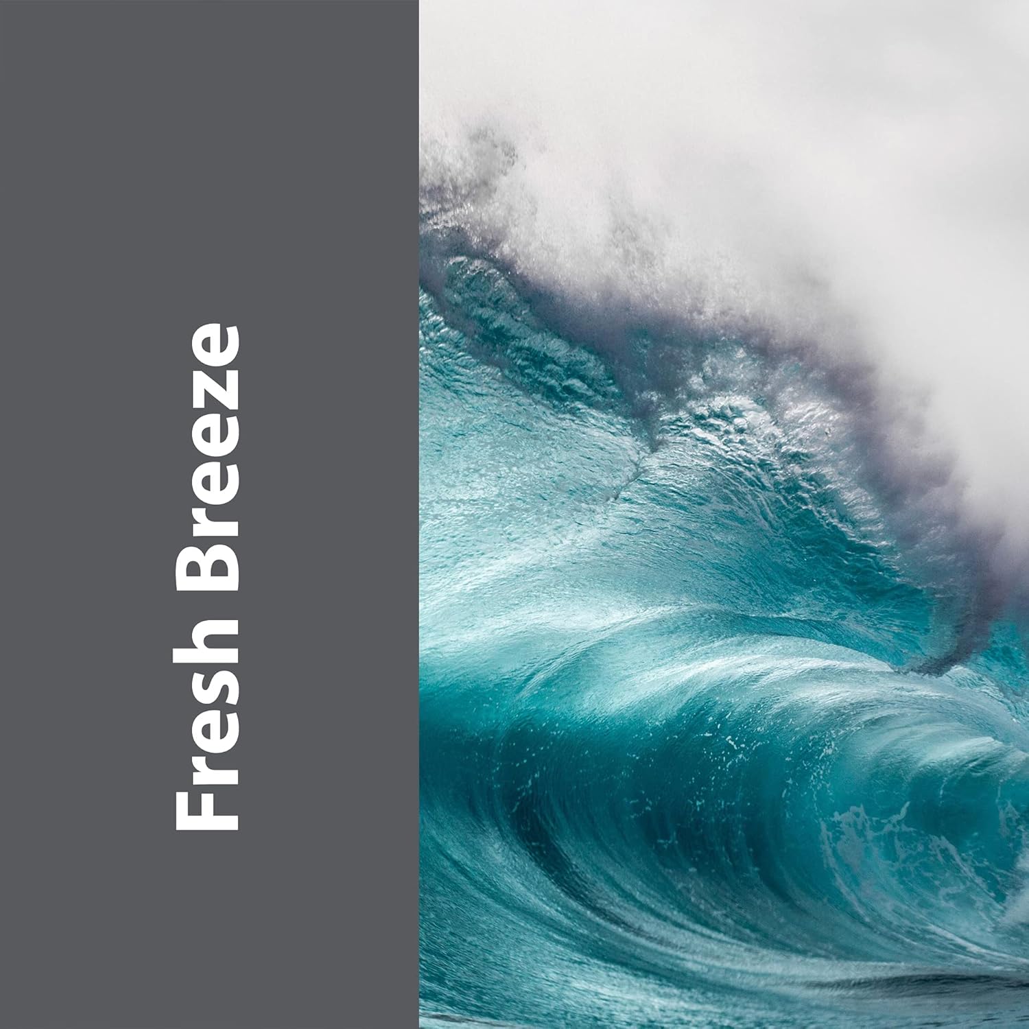 Pro-Grade Multi-Purpose Probiotic Enzyme Cleaner - Pet Stain and Odor Remover, Drain Cleaner - Powerful Cleaning & Odor Eliminating Formula For Professional & Home Surfaces - 32 Ounce