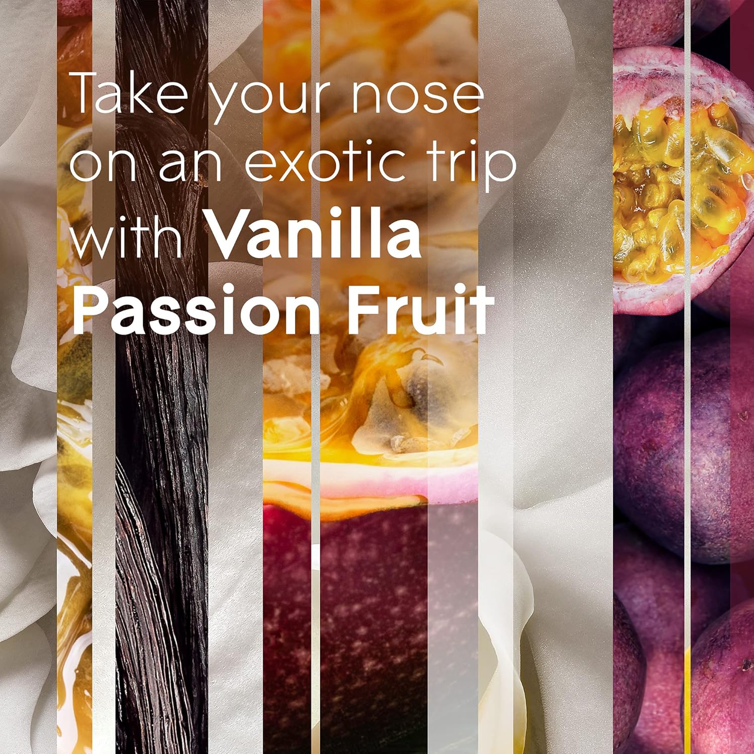 Glade PlugIns Refills Air Freshener, Vanilla Passion Fruit, Scented and Essential Oils for Home and Bathroom, 0.67 Fl Oz, 10 Count