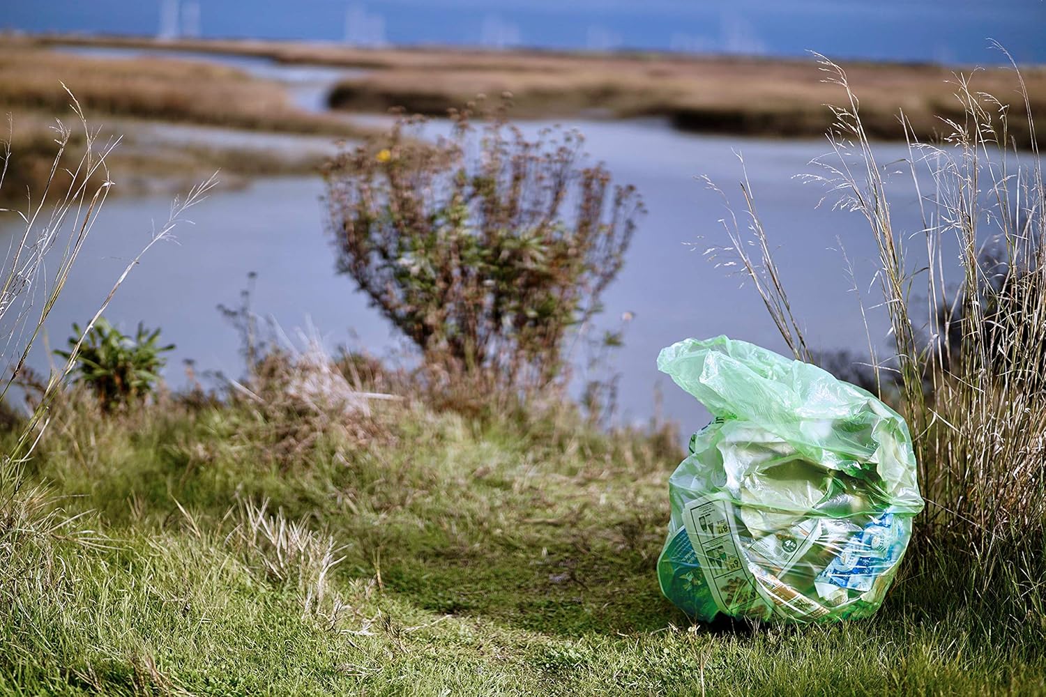 Reli. Compostable 33 Gallon Trash Bags | 80 Count Bulk | ASTM D6400 | Green | Eco-Friendly | For Compost