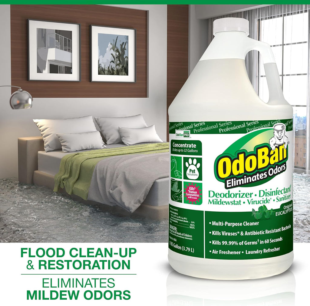 OdoBan Professional Disinfectant and Odor Eliminator Concentrate, Made in the USA, Original Eucalyptus and Lavender Scents, 2-Pack, 1 Gallon Each