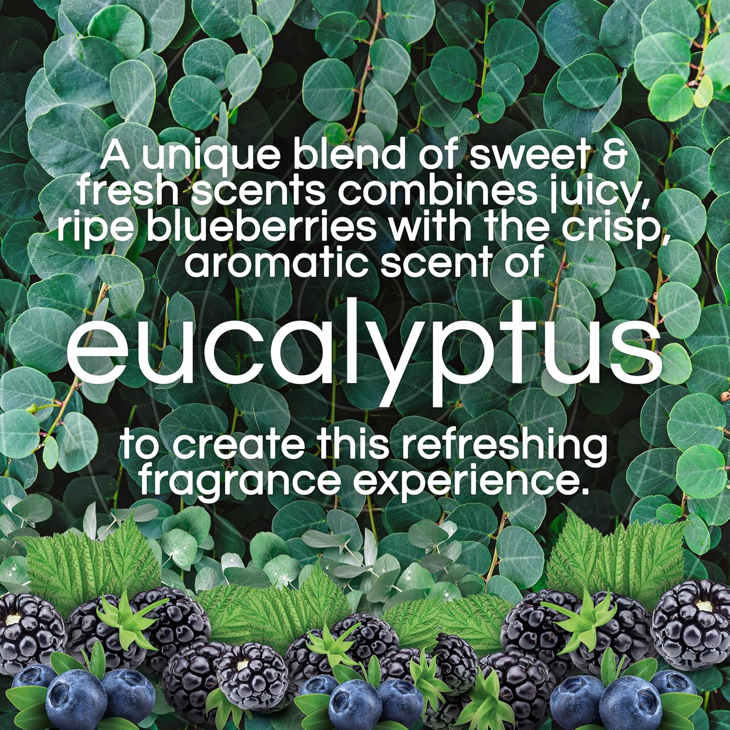 Air Wick Plug In Scented Oil Refills, Eucalyptus + Berries, Air Fresheners for Home Long Lasting, Room Fresheners,Air Freshener Plug In, Essential Oils, Home Essentials for Small&Large Spaces,5 ct